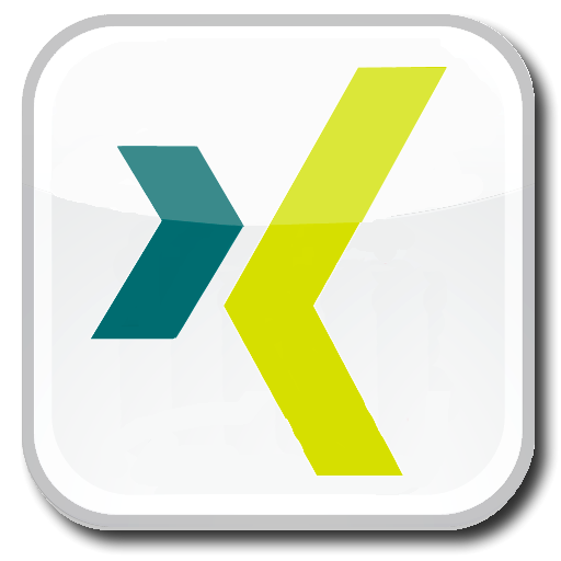 File:Icon xing profile.png